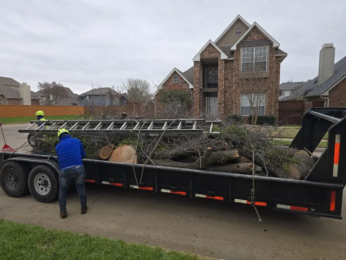 Expert Lot Clearing with proper safety equipment in Webbville